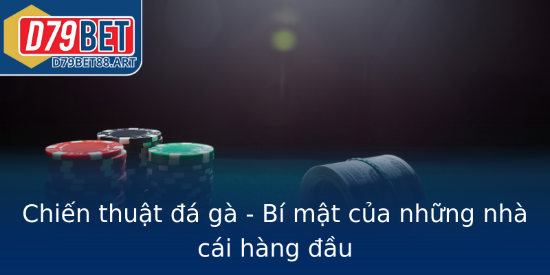 Chiến thuật đá gà - Bí mật của những nhà cái hàng đầu Chiến thuật đá gà - Bí mật của những nhà cái hàng đầu