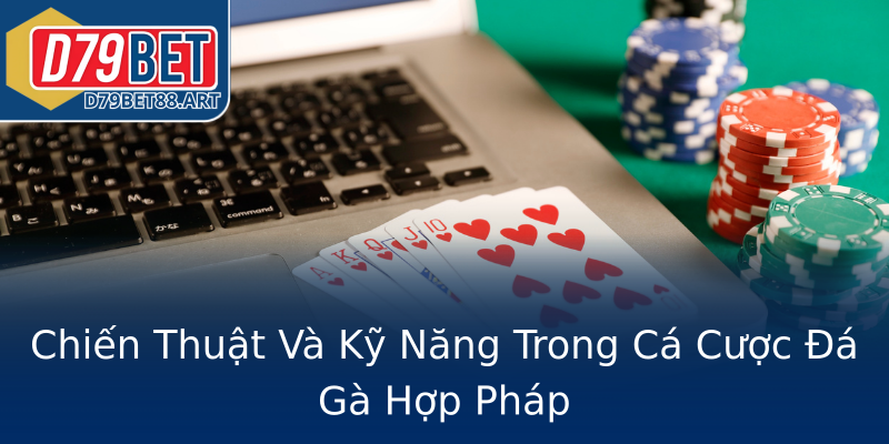 Chiến Thuật Và Kỹ Năng Trong Cá Cược Đá Gà Hợp Pháp Chiến Thuật Và Kỹ Năng Trong Cá Cược Đá Gà Hợp Pháp