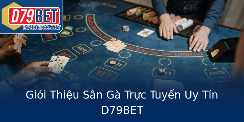 Giới Thiệu Sân Gà Trực Tuyến Uy Tín D79BET Giới Thiệu Sân Gà Trực Tuyến Uy Tín D79BET