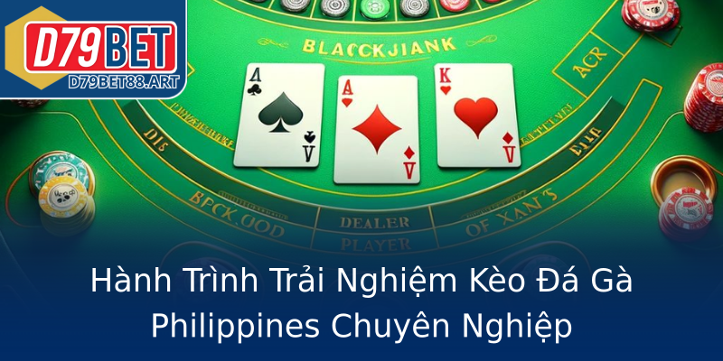 Hành Trình Trải Nghiệm Kèo Đá Gà Philippines Chuyên Nghiệp Hành Trình Trải Nghiệm Kèo Đá Gà Philippines Chuyên Nghiệp