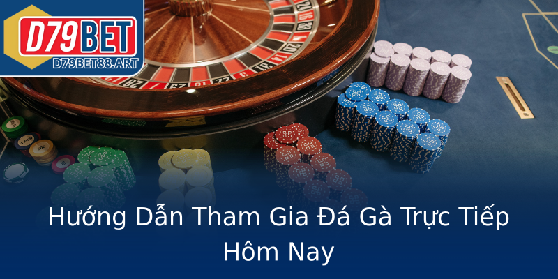 Hướng Dẫn Tham Gia Đá Gà Trực Tiếp Hôm Nay Hướng Dẫn Tham Gia Đá Gà Trực Tiếp Hôm Nay