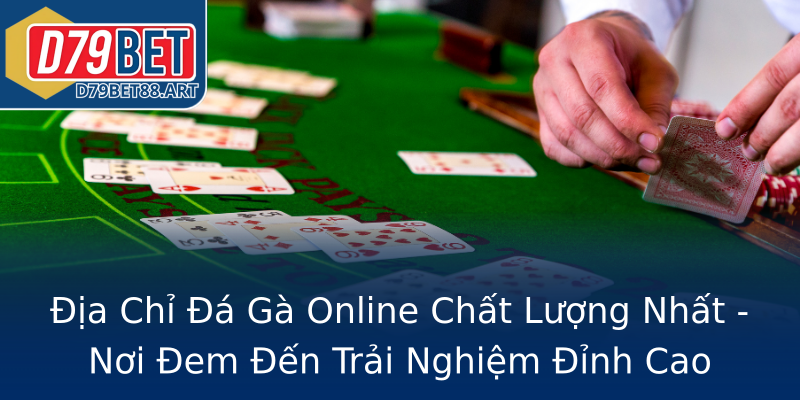 Địa Chỉ Đá Gà Online Chất Lượng Nhất - Nơi Đem Đến Trải Nghiệm Đỉnh Cao Địa Chỉ Đá Gà Online Chất Lượng Nhất - Nơi Đem Đến Trải Nghiệm Đỉnh Cao