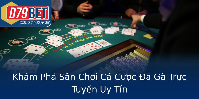 Khám Phá Sân Chơi Cá Cược Đá Gà Trực Tuyến Uy Tín Khám Phá Sân Chơi Cá Cược Đá Gà Trực Tuyến Uy Tín