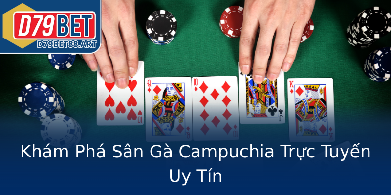 Khám Phá Sân Gà Campuchia Trực Tuyến Uy Tín Khám Phá Sân Gà Campuchia Trực Tuyến Uy Tín