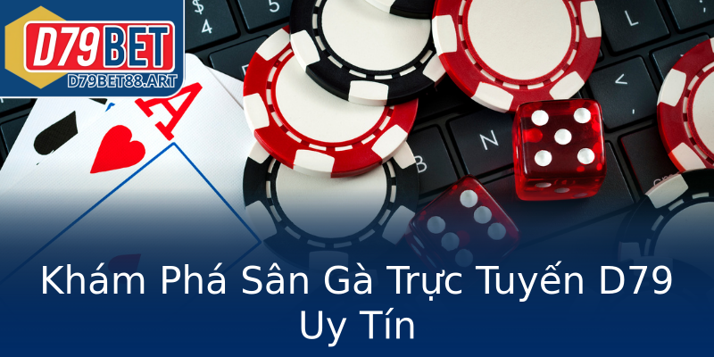 Khám Phá Sân Gà Trực Tuyến D79 Uy Tín Khám Phá Sân Gà Trực Tuyến D79 Uy Tín