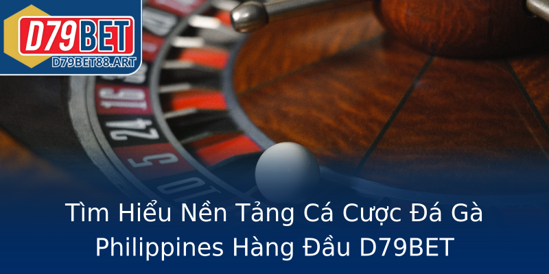 Tìm Hiểu Nền Tảng Cá Cược Đá Gà Philippines Hàng Đầu D79BET Tìm Hiểu Nền Tảng Cá Cược Đá Gà Philippines Hàng Đầu D79BET