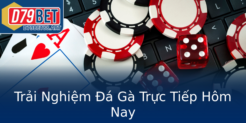 Trải Nghiệm Đá Gà Trực Tiếp Hôm Nay Trải Nghiệm Đá Gà Trực Tiếp Hôm Nay