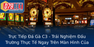 Truc Tiep A Ga C3 Trai Nghiem Au Truong Thuc Te Ngay Tren Man Hinh Cua Ban