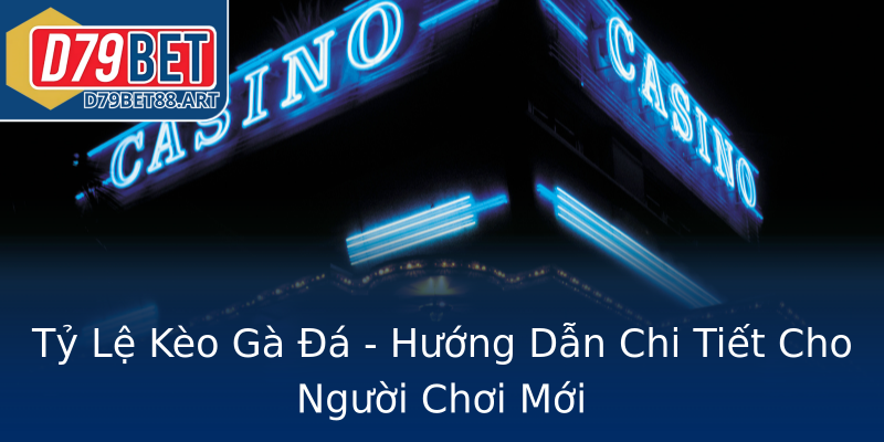 Tỷ Lệ Kèo Gà Đá - Hướng Dẫn Chi Tiết Cho Người Chơi Mới Tỷ Lệ Kèo Gà Đá - Hướng Dẫn Chi Tiết Cho Người Chơi Mới